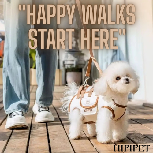 HIPIPET HARNESS