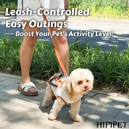 HIPIPET HARNESS